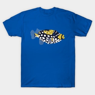 Clown trigger fish illustration T-Shirt